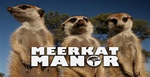 Meerkat Manor - streaming tv show online