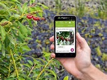 Top 22 Free Apps For Plant Identification