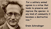 Erwin Schrodinger Quotes | Inspirational quotes, Famous quotes, Famous ...