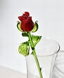 Beautiful Red Glass Rose Flower. Excellent Addition to Your - Etsy UK