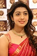 Pranitha Subhash Latest Cute Pics In Saree - Actress Doodles