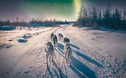 Admirer les aurores boréales dans le Grand Nord canadien | Evaneos