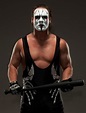 Pin by Thomas on Sting! | Sting wcw, Wrestling wwe, Tna impact wrestling