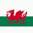 Wales 2 x 3 Standard Flag