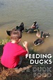 What to Feed Ducks : Feeding Ducks with Kids - The Kid Bucket List