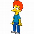 Rod Flanders | The Simpsons | hobbyDB