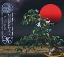 Ozric Tentacles - Paper Monkeys - Amazon.com Music