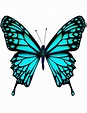 Mariposa Para Imprimir Imagenes Y Dibujos Para Imprimir | Porn Sex Picture