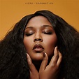 Lizzo: Coconut Oil Album Review | Pitchfork