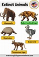 List Cute Extinct Animals | Cute Animals