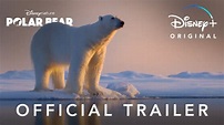 Everything You Need to Know About Polar Bear Movie (2022)