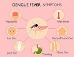 Dengue Symptoms, Causes & Preventions | Apollo Hospitals Blog
