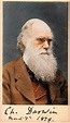 Colorized Darwin | Robert darwin, Charles darwin, Historical people