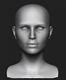 ArtStation - Realistic Female Head 3D Model | Resources