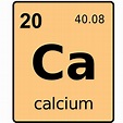 22 Calcium Facts for Kids, Students and Teachers
