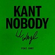 ‎Kant Nobody (feat. DMX) - Single by Lil Wayne on Apple Music