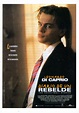 Cartells de cine: 447-Diario de un rebelde(1995)