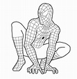 Spiderman para colorear 🥇 ¡DIBUJOS para imprimir y pintar!