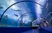 The Osaka Aquarium Kaiyukan is an aquarium located in the ward of ...