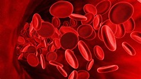 ¿Qué es la sangre y cuáles son los grupos sanguíneos?
