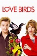 Love Birds (2011) - Posters — The Movie Database (TMDB)