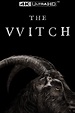 The Witch (2015) - Posters — The Movie Database (TMDB)