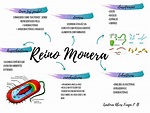 MAPA MENTAL SOBRE REINO MONERA - Maps4Study