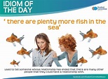 'there are plenty more fish in the sea' IDIOM OF THE DAY | English ...