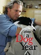 Watch A Dog Year | Prime Video