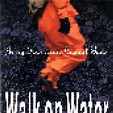Walk On Water | CD (1990) von Jerry Harrison