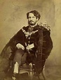 Count Gyula Andrassy (1823-1890) | Kaiserin sisi, Kaiser, Ungarn
