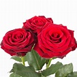 3 Røde Roser: Den Ultimative Erklæring af Kærlighed