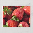 Erdbeeren Karten | Zazzle.de