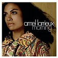 Amel Larrieux - Morning (2006) FLAC MP3 DSD SACD download HD music ...
