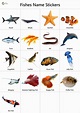 Fish Names : Facts | Pictures | Videos | Charts - Ira Parenting ...