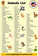 30 animals name, Detailed Animals Names List - English Grammar Here