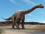 Argentinosaurus - Fotos, Hechos y Historia | Dinosaurios