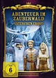 Väterchen Frost - Abenteuer im Zauberwald: DVD oder Blu-ray leihen ...