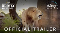 Magic of Disney's Animal Kingdom | Official Trailer | Disney+ - YouTube