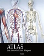 Atlas des menschlichen Körpers Weltbild-Ausgabe portofrei
