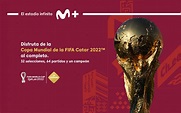 Mundial Qatar 2022 partidos: Fechas y horarios