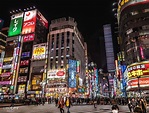 Tokio Reisetipps: 16 TOP Sehenswürdigkeiten & was man wissen sollte