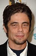 Benicio del Toro: Biografía, películas, series, fotos, vídeos y ...