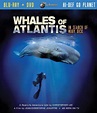 Whales of Atlantis: In Search of Moby Dick (Blu-ray + DVD) (2003 ...