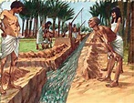 Method of Irrigation - Egyptian Irrigation