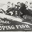 The Galloping Fish (1924) - IMDb