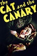 El gato y el canario (película 1939) - Tráiler. resumen, reparto y ...