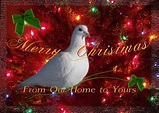 Merry Christmas Dove Digital Art by J C Edwards