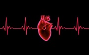 Free photo: Beating Heart - ECG Graph - Analysis, Line, Graphic - Free ...