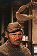 Robert Shaw from 'Jaws' — inside His Life and Sudden Death Shortly ...